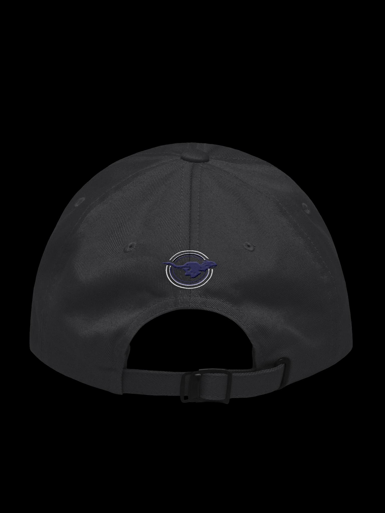 Classic Dad Hat alt view