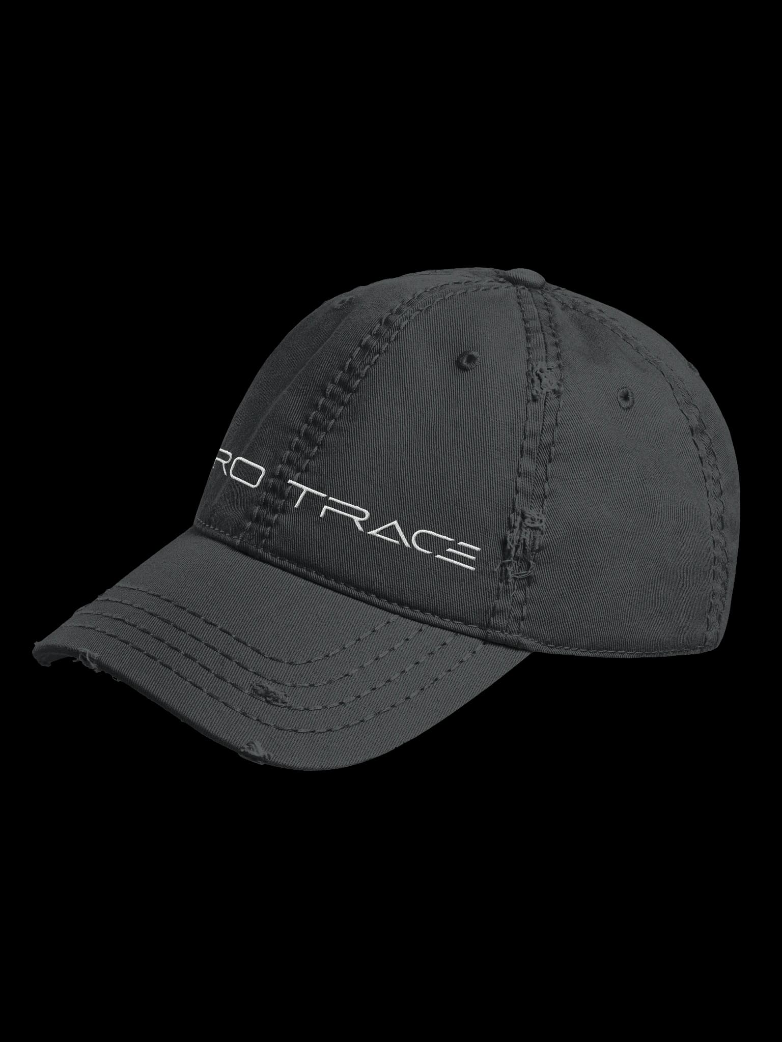 Otto Distressed Dad Hat alt view