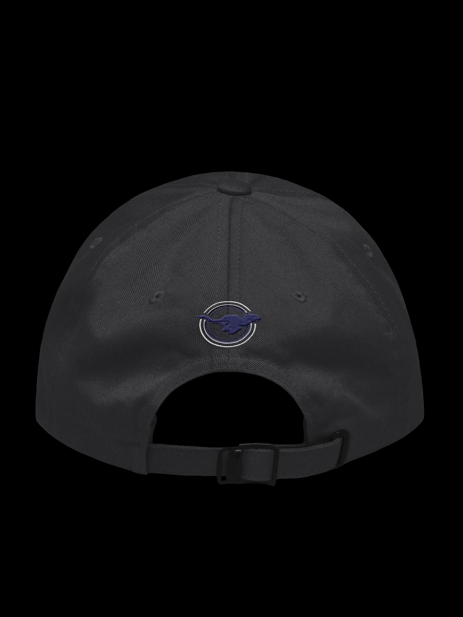Classic Dad Hat alt view